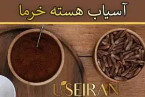 دستگاه های آسیاب هسته خرما خرید، قیمت و مشخصات انواع خانگی تا صنعتی سه فاز کارخانه. خواص هسته، دانه یا بذر و قهوه هسته خرما چیست؟