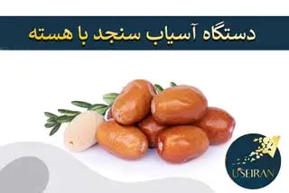 آسیاب سنجد با هسته معرفی دستگاه صنعتی و خانگی | طرز تهیه پودر سنجد